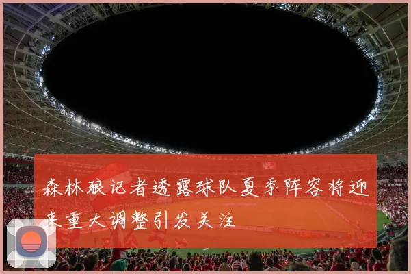 森林狼记者透露球队夏季阵容将迎来重大调整引发关注